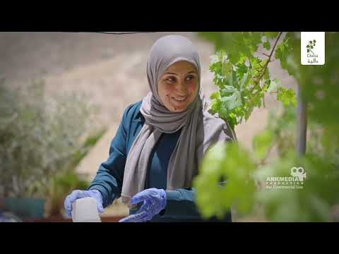 Asmaa Zaidat turned her ancestors’ legacy into a venture with the taste of Palestine. project image